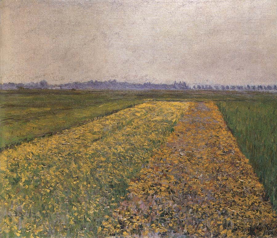 Gustave Caillebotte Yellow field